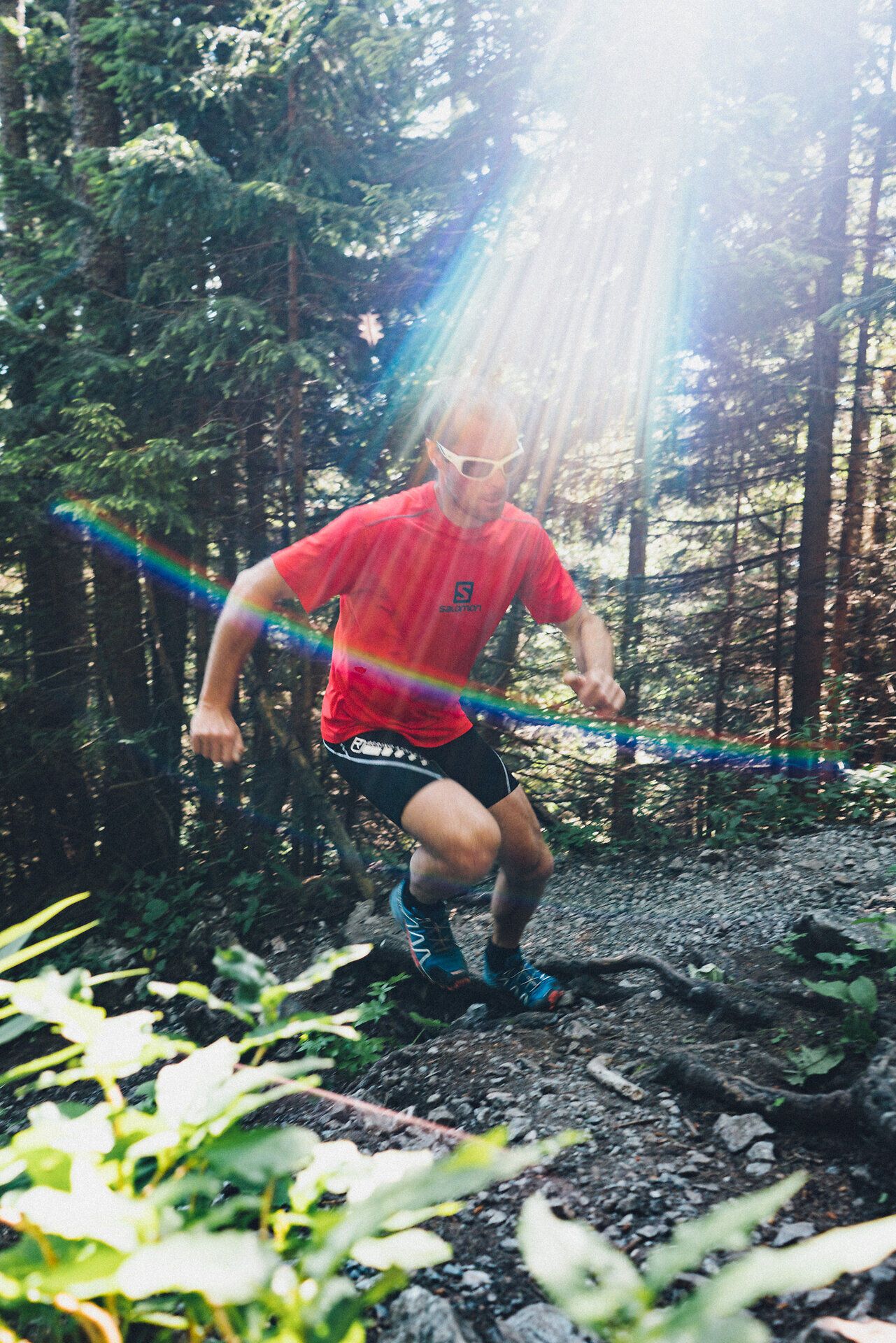 Ein begeisterter Bergsteiger erklimmt den steilen Pfad, umgeben von majestätischen Bäumen und dem sanften Licht der Sonne, das durch die Äste strahlt. Die frische Bergluft und die atemberaubende Aussicht auf die umliegenden Gipfel versprechen ein unvergessliches Abenteuer in den Wiener Alpen.