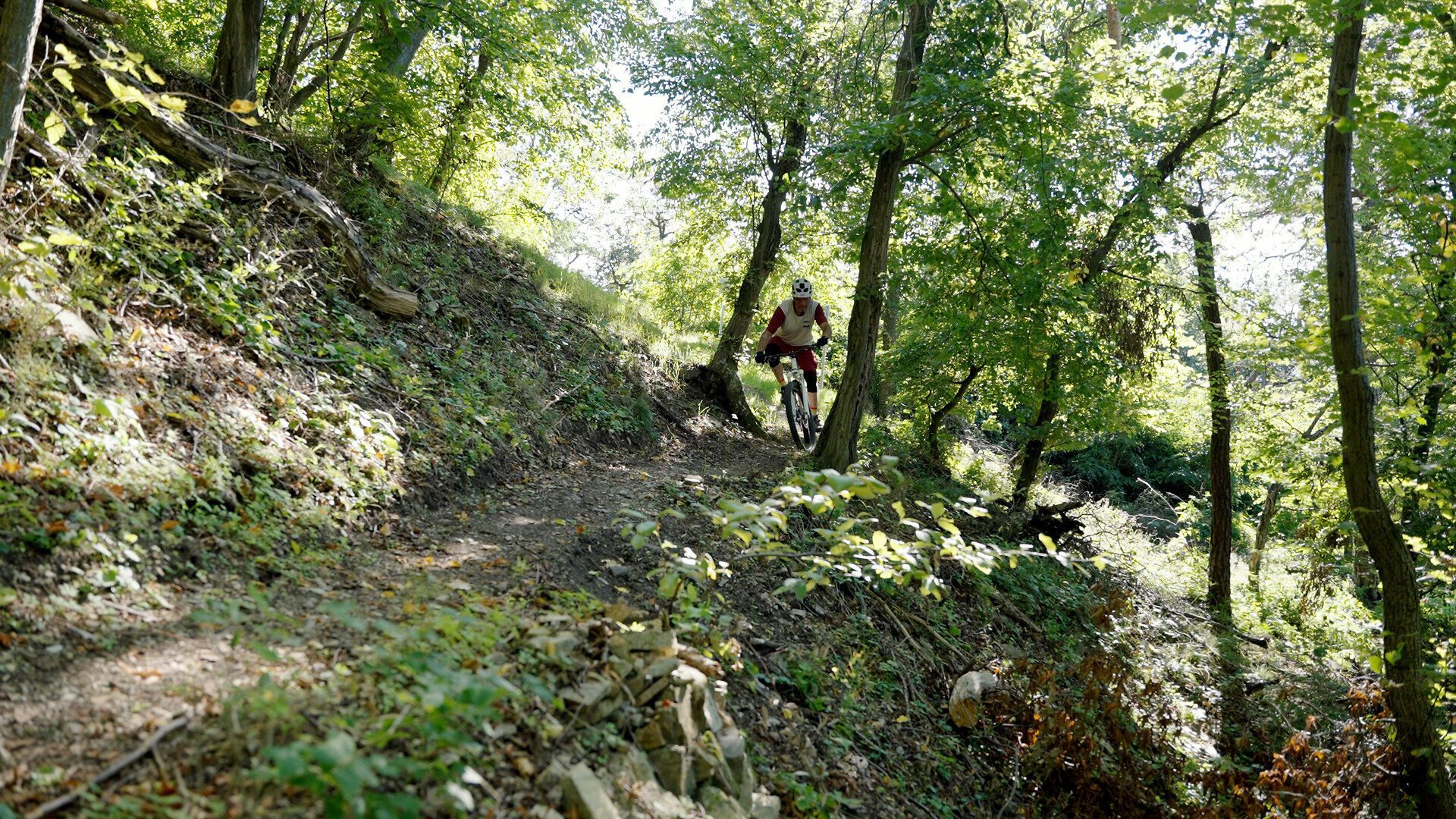 Ein Mountainbiker gleitet geschmeidig den schmalen Pfad entlang, umgeben von üppigem Grün und dem sanften Licht der Sonne, das durch die Blätter der Bäume strahlt. Die frische Luft und die Geräusche der Natur schaffen eine perfekte Kulisse für ein unvergessliches Abenteuer in den Bergen.