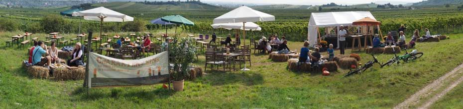 Menschen sitzen auf Heuballen und an Tischen in einem Weinberg mit Sonnenschirmen und Zelten.