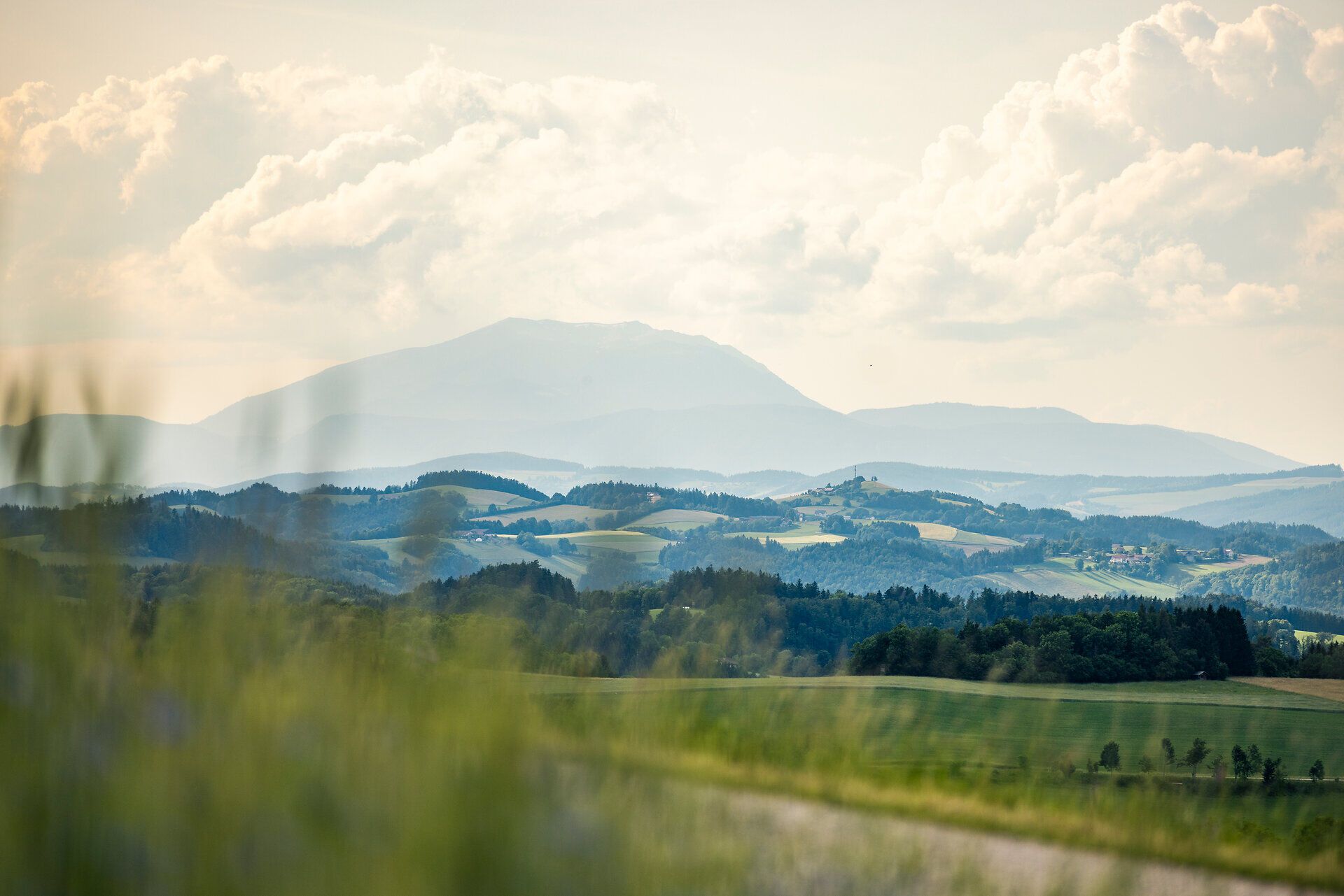 Blick auf die hügelige Landschaft der Buckligen Welt mit Schneeberg im Hintergrund.