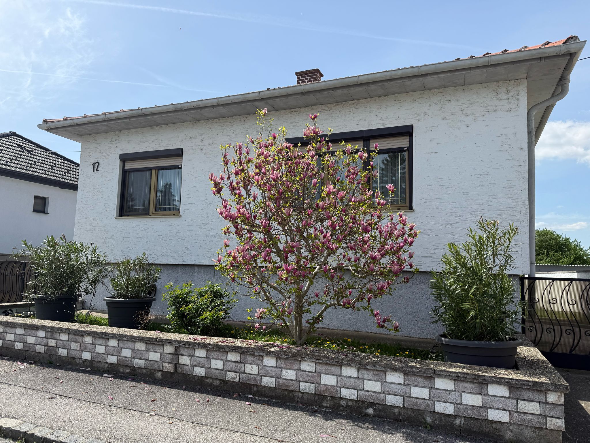 Außenansicht eines weißen Hauses mit blühendem Baum und Pflanzen in Töpfen.