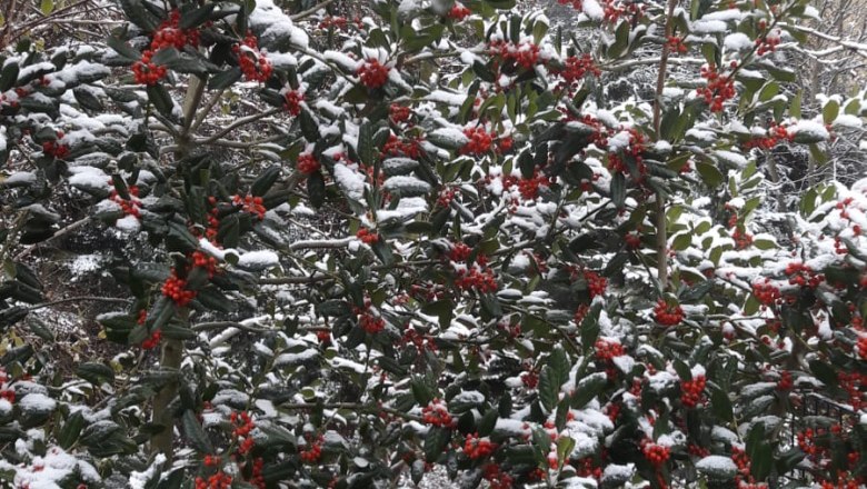 Privatzimmer Margit, &copy; Margit Heller