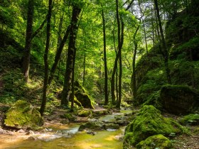 Johannesbachklamm W&uuml;rflach, &copy; Wiener Alpen in Nieder&ouml;sterreich - Schneeberg Hohe Wand