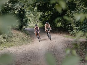 Zwei Radfahrer auf einem Waldweg in einer gr&uuml;nen Umgebung.