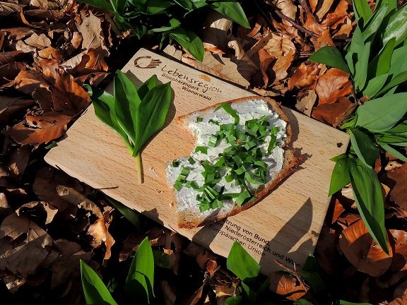 Wienerwald Experience, &copy; baerlauch_cr_patricia-lechner_verkleinert