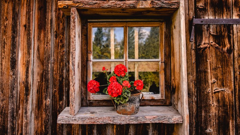 Nestelberg 17, &copy; Sabine Wieser