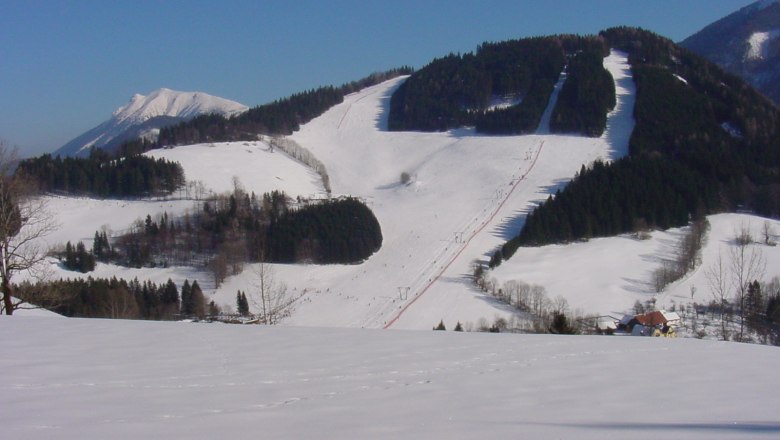 Schneebedeckte Skipisten und W&auml;lder in einer Berglandschaft.
