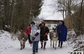 Eselwanderung, &copy; Robert Wagner