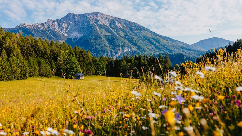 Nestelberg 17, &copy; Sabine Wieser