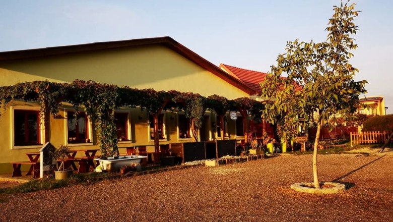 Gelbes Geb&auml;ude mit Terrasse, Weinreben und Baum im Vordergrund bei Sonnenuntergang.
