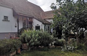 Ein gem&uuml;tliches Haus mit Garten, umgeben von Pflanzen und einem Baum.