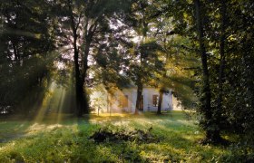 Ein Pavillon im Wald mit Sonnenstrahlen, die durch die Bäume scheinen.