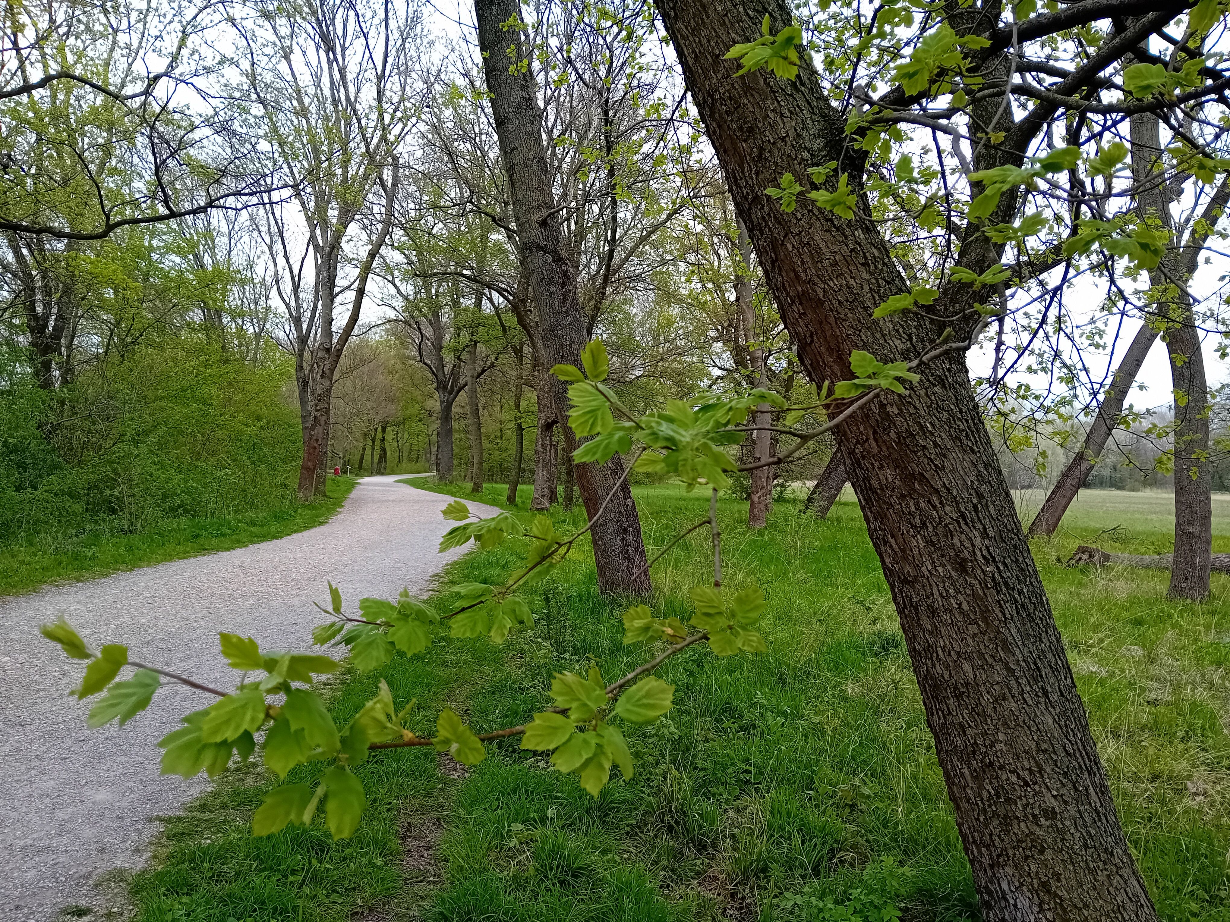 Weg durch die Parkanlage