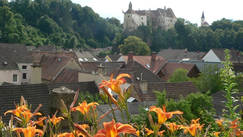 Blick von Terrasse auf Burg Raabs, © e.c.pollak
