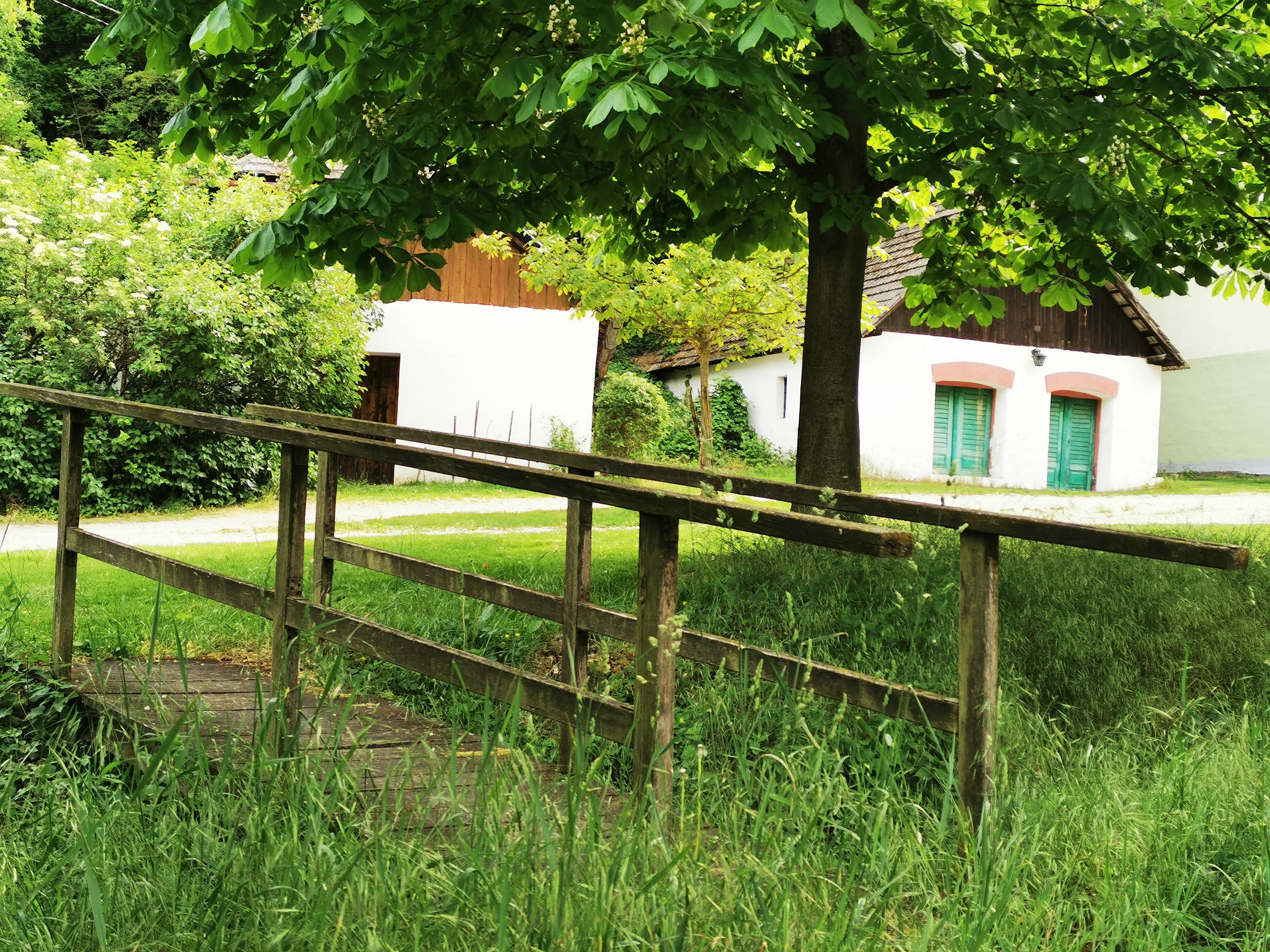 Eine kleine Holzbrücke führt über eine Wiese zu weißen Gebäuden mit grünen Türen, umgeben von Bäumen und Büschen.