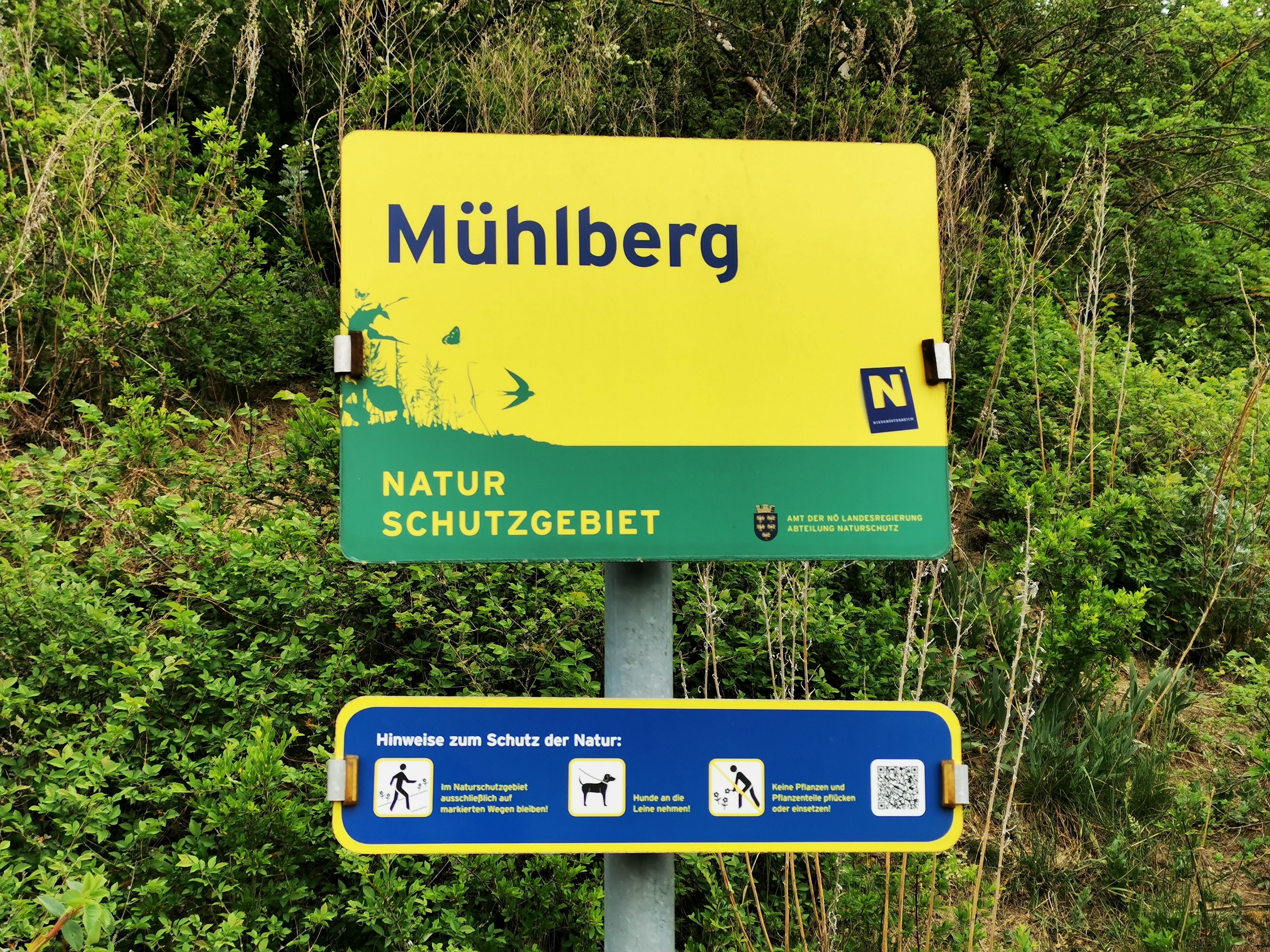 Schild des Naturschutzgebiets Mühlberg mit Hinweisen zum Schutz der Natur.