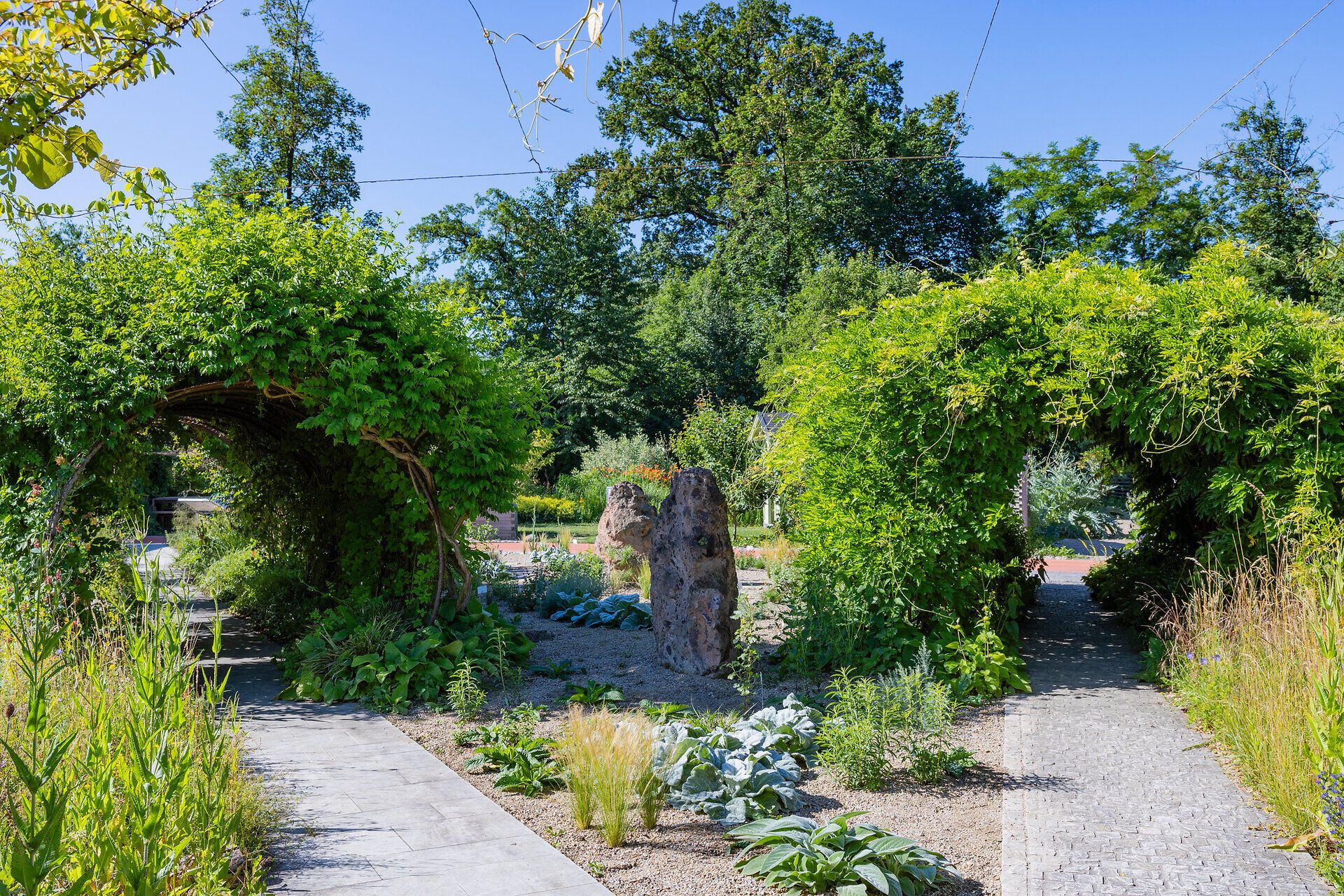 Top Ausflugsziel GARTEN TULLN. Überwachsene Bögen zum Durchgehen führen entlang des Weges. Viele grüne Büsche und Bäume im Hintergrund, strahlend blauer Himmel und Sonnenschein.