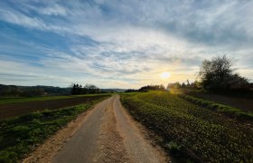 Abendstimmung kurz vor Jagenbach, &copy; Dr. Markus Peham