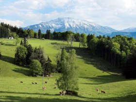 Alm am Hochb&auml;rneck, &copy; weinfranz.at