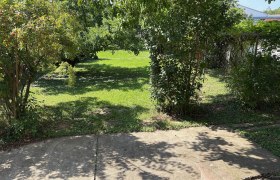 Garten mit B&auml;umen und Str&auml;uchern, sonniger Tag.