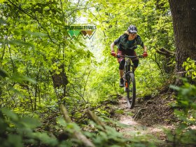 Dornröschen Trail, © Wienerwald Tourismus / Wienerwald Trails