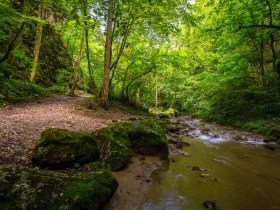 Johannesbachklamm, &copy; Wiener Alpen in Nieder&ouml;sterreich