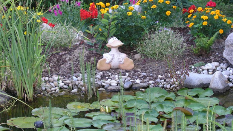 Ein Gartenteich mit Seerosen, bunten Blumen und einer Froschfigur am Ufer.