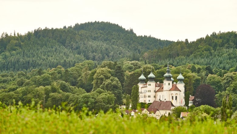 Sicht auf Schloss Artstetten umgeben von Wäldern
