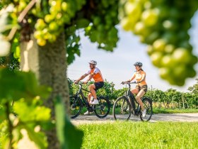 Die Weinviertler Landschaft per Rad genießen, © POV / Robert Herbst