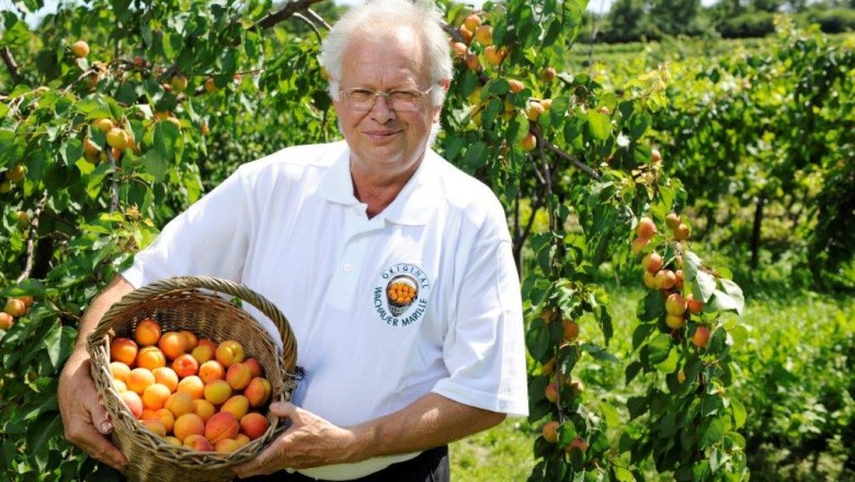 Herr Koller, &copy; Steve Haider