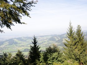 Ausblick Grüntalkogelhütte (Copyright: Doris Schwarz König), © Mostviertel