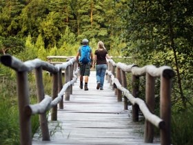 Ein malerischer Wanderweg f&uuml;hrt durch die &uuml;ppige Natur, umgeben von hohen B&auml;umen und sanften H&uuml;geln. Die frische Luft und das Zwitschern der V&ouml;gel schaffen eine entspannende Atmosph&auml;re, die zum Verweilen einl&auml;dt. Hier erleben Wanderer die Sch&ouml;nheit des Naturparks in vollen Z&uuml;gen.