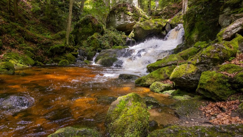 Klares Wasser der Ysper fließt über Steine im schattigen Abschnitt der Ysperklamm