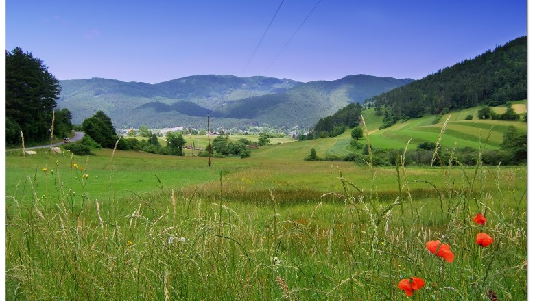 Grüne Wiesen mit roten Mohnblumen und Hügeln im Hintergrund unter blauem Himmel.