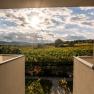 Ausblick auf die Weinberge, © Wein-gut Hutter
