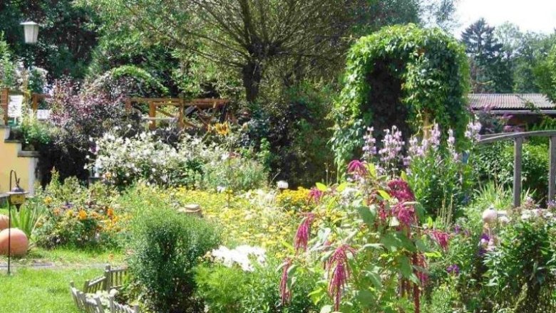 Wienerwaldoase, &copy; Wienerwaldoase