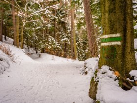 Winterwandern am Weg der Blicke Bad Sch&ouml;nau, &copy; Wiener Alpen in Nieder&ouml;sterreich