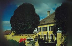 Gelbes Geb&auml;ude mit Tor und B&auml;umen im Vordergrund.