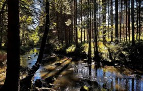 Kamptal, © Dr. Markus Peham