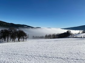 Wandern über dem Nebel, © Wiener Alpen in Niederösterreich