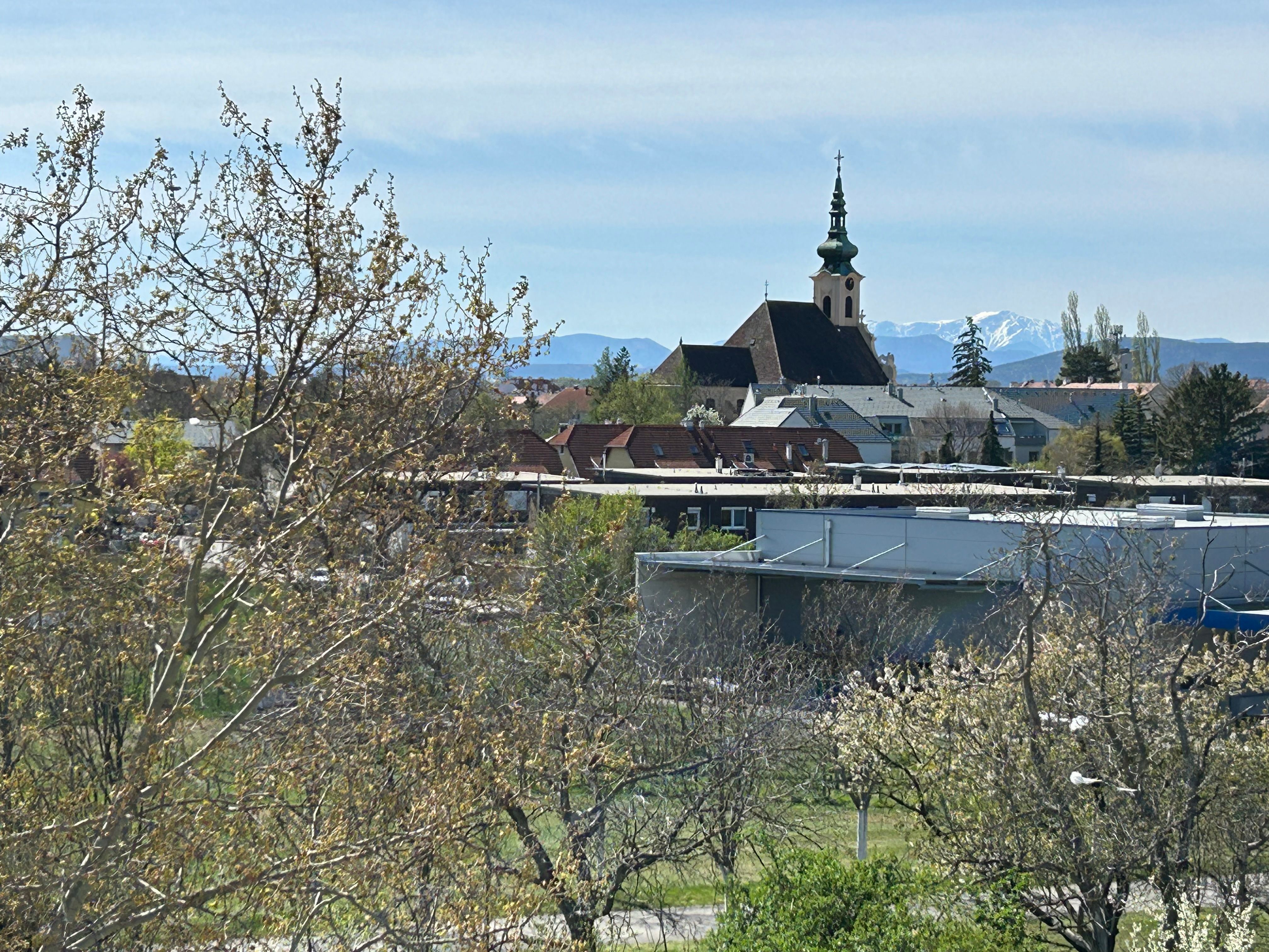 Ausblick Schneeberg oder Garten