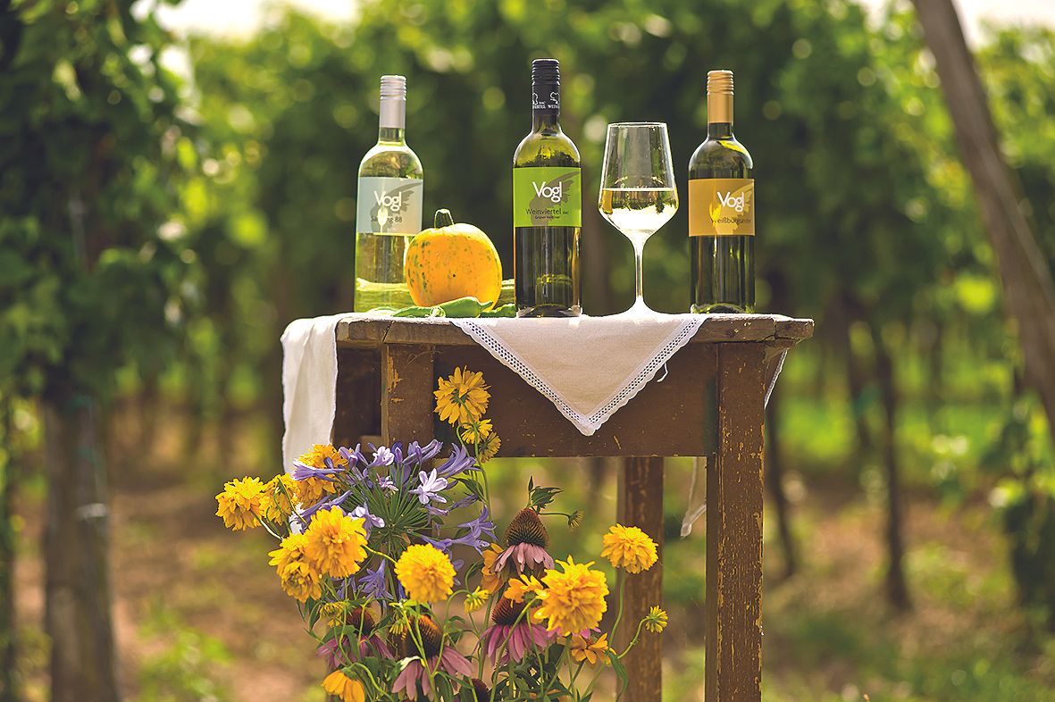 Drei Weinflaschen und ein Glas auf einem Tisch im Weinberg.