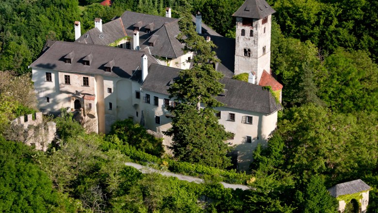 Luftaufnahme der Burg Oberranna, umgeben von dichtem Wald.