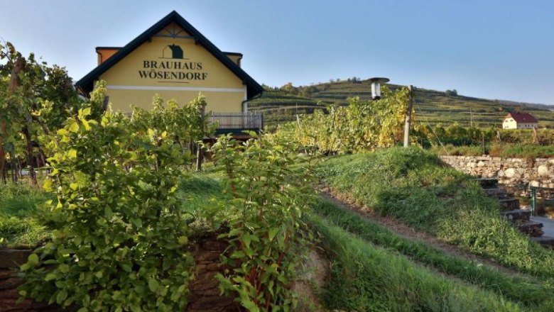 Brauhaus W&ouml;sendorf inmitten von Weinbergen.