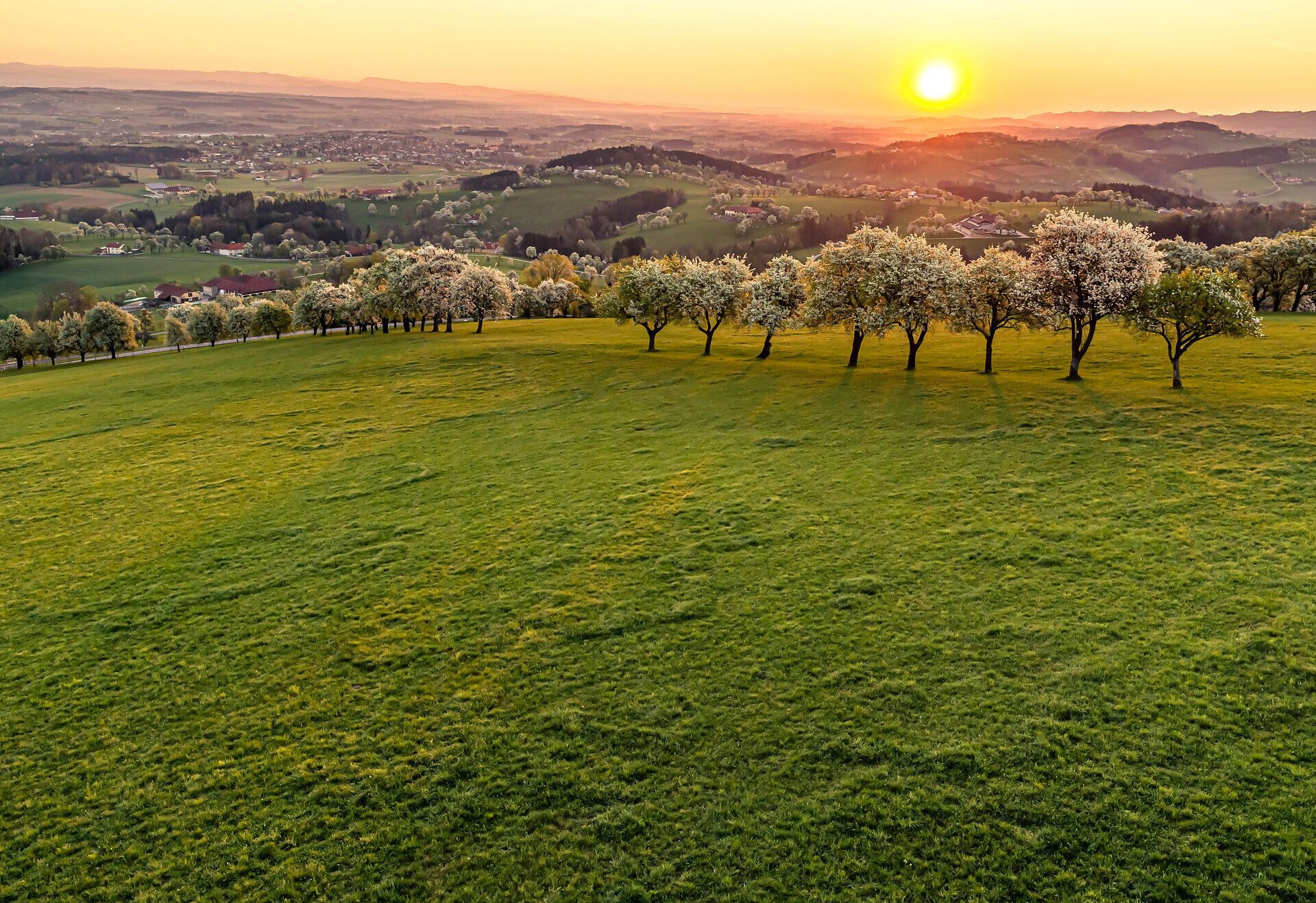 Die sanften Hügel des Mostviertels erblühen im Frühling in einem Meer aus zarten Birnenblüten. Während die Sonne langsam am Horizont aufgeht, verwandelt sich die Landschaft in ein malerisches Bild, das die Seele berührt und zum Verweilen einlädt.