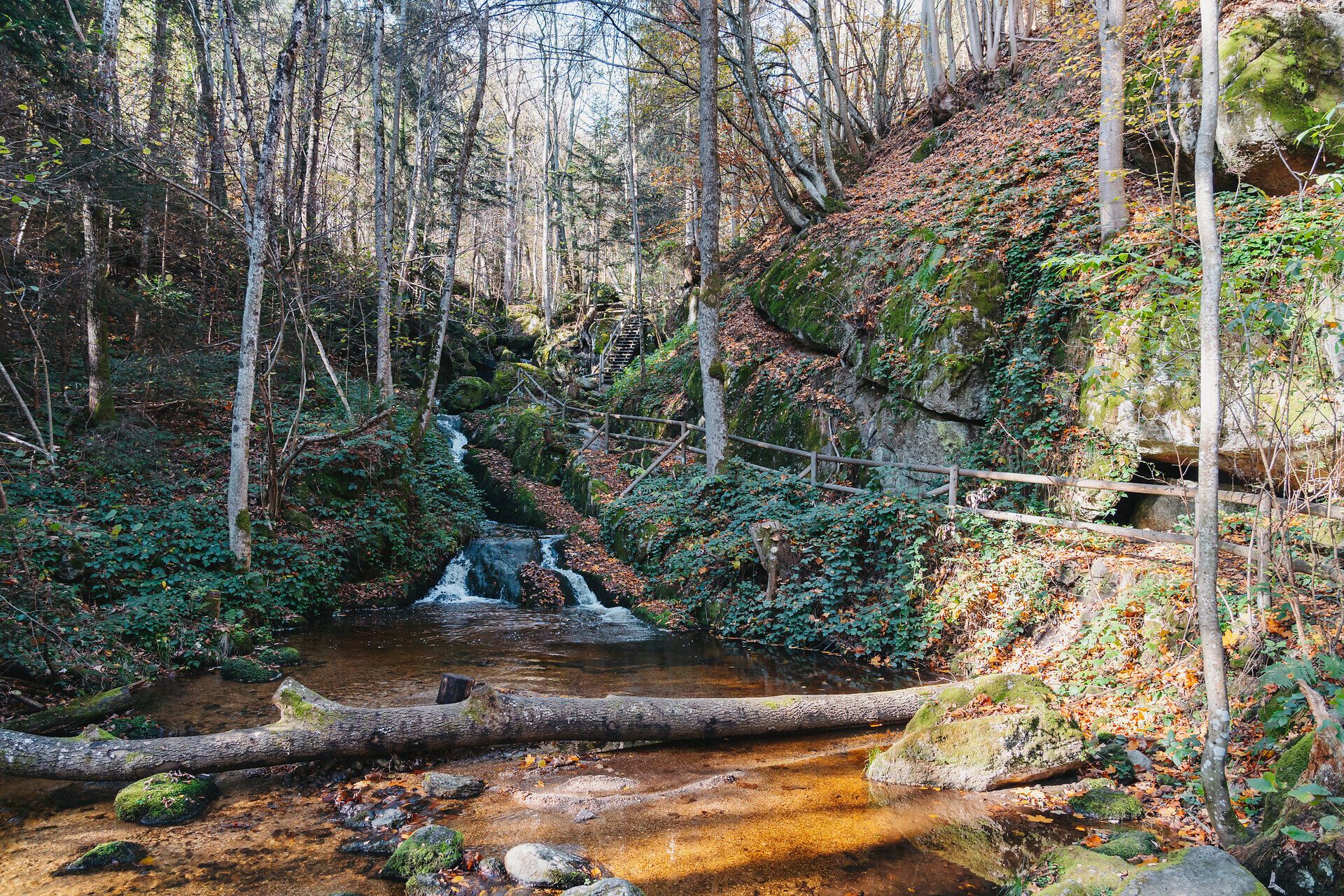 Herbst, südliches Waldviertel