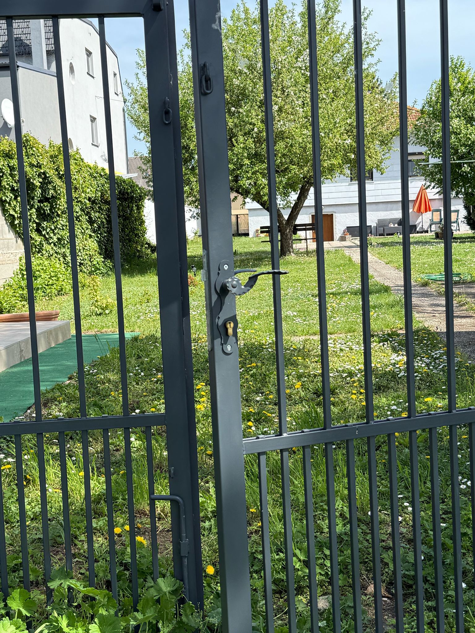 Ein Garten mit einem Metalltor im Vordergrund, dahinter ein Baum und ein Haus mit rotem Sonnenschirm.