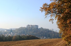 Buchbergsicht auf Burg Neulengbach, © Wienerwald