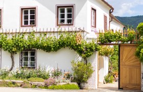 Weinhauer Brustbauer, © Florian Lechner