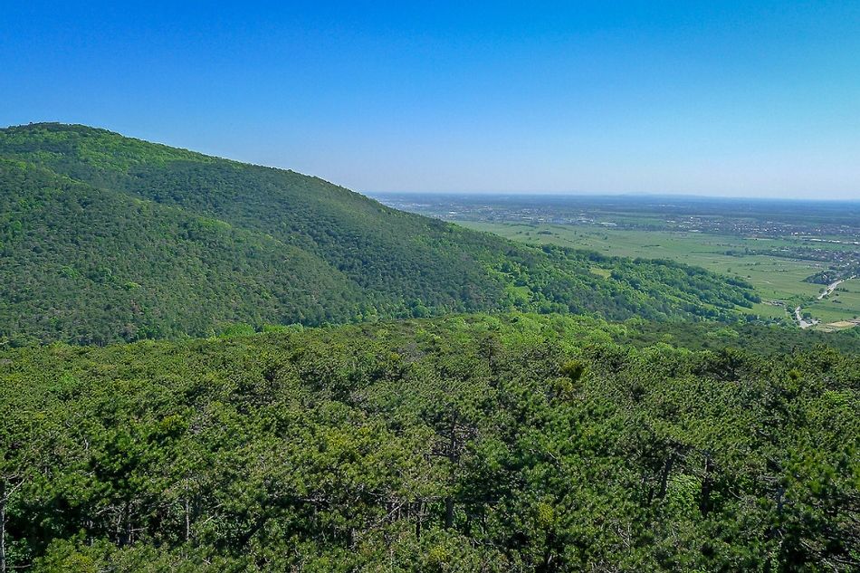 Wienerwald